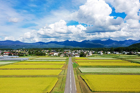八ヶ岳