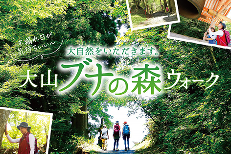 心を洗う「大山ブナの森ウォーク」
