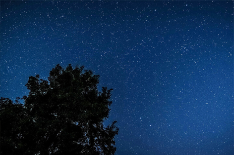 【星空&焚火体験】うどん県の隠れ里で夜を愉しむ