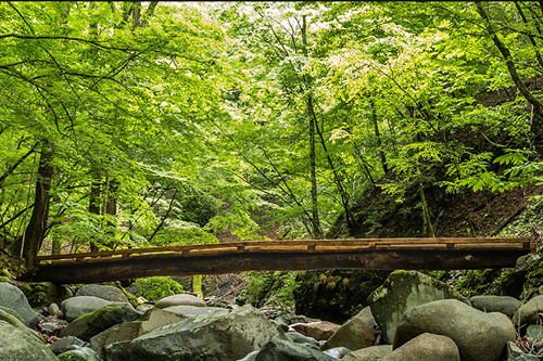 小菅村