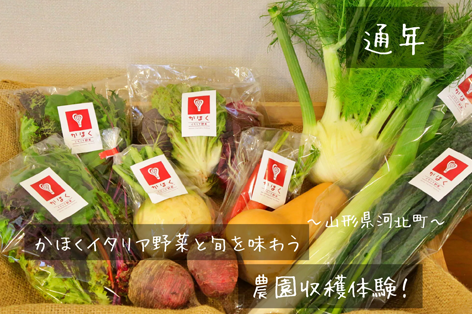 かほくイタリア野菜と旬を味わう農園収穫体験♪